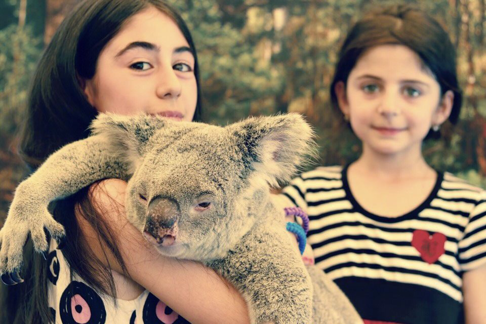 bambine con koala