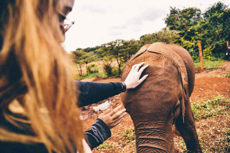 ragazza con elefante