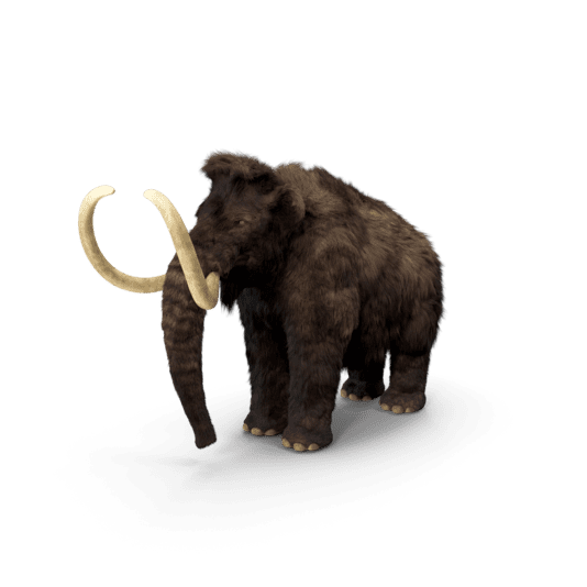 Mammoth estinto